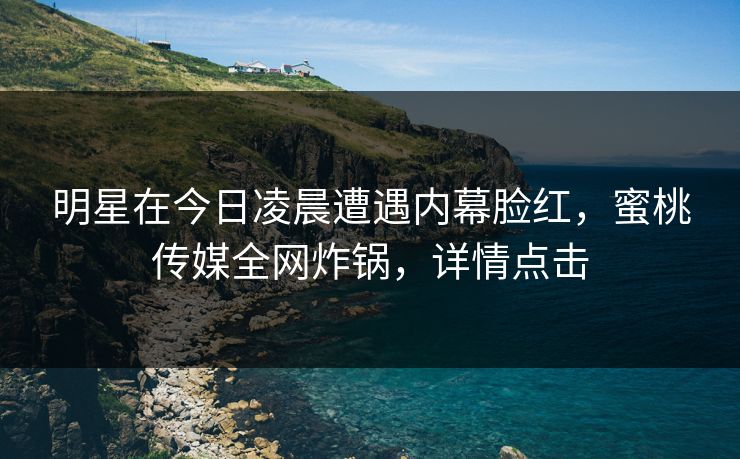 明星在今日凌晨遭遇内幕脸红，蜜桃传媒全网炸锅，详情点击