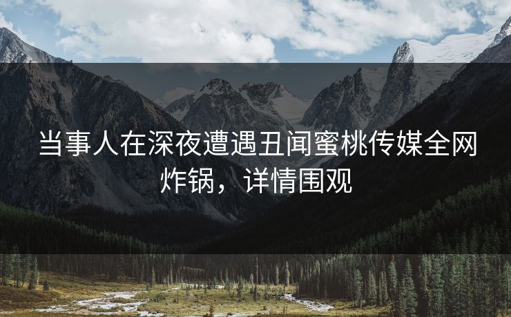 当事人在深夜遭遇丑闻蜜桃传媒全网炸锅，详情围观