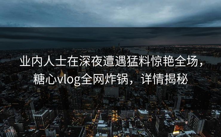 业内人士在深夜遭遇猛料惊艳全场，糖心vlog全网炸锅，详情揭秘